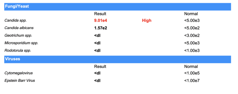Screen-Shot-2023-08-31-at-2.37